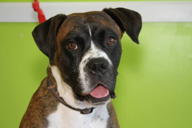 1235380_514756441932612_1265888219_n