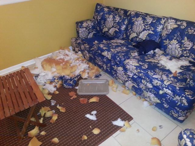 1462942_10100325276340971_134955399_n