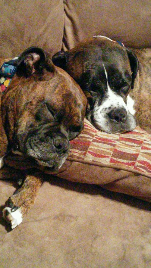 PART_1430277180350_PART_1430277167198_0428152212a