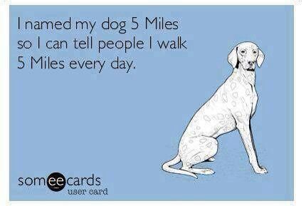 28b18ab32e0ed70e64a5f927a330d870