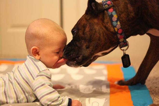 10885295_10100677404129061_1484220046431357241_n