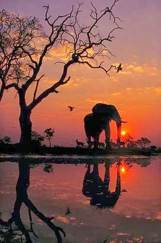 34bf00c3794117eb8605cfee7868d4f5