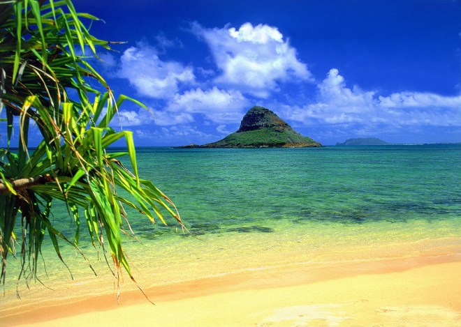 Hawaii-beach