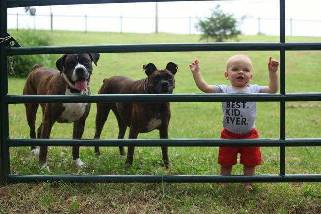 11826040_10100869300397401_5622887037542319348_n