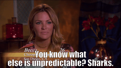 rs_480x270-160208201259-bachelor_gif_06_sharks_becca