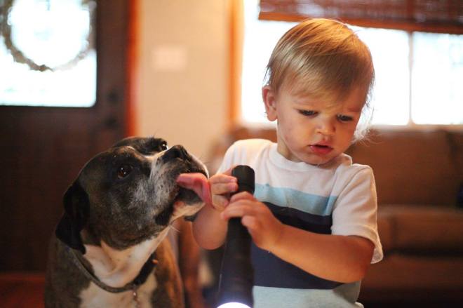 13483002_10101113520922511_1256038713748429803_o