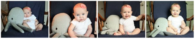 daph 3 month compare